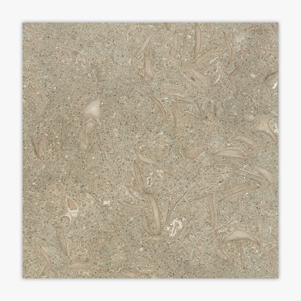 Seagrass Honed 12x12 Limestone Tile