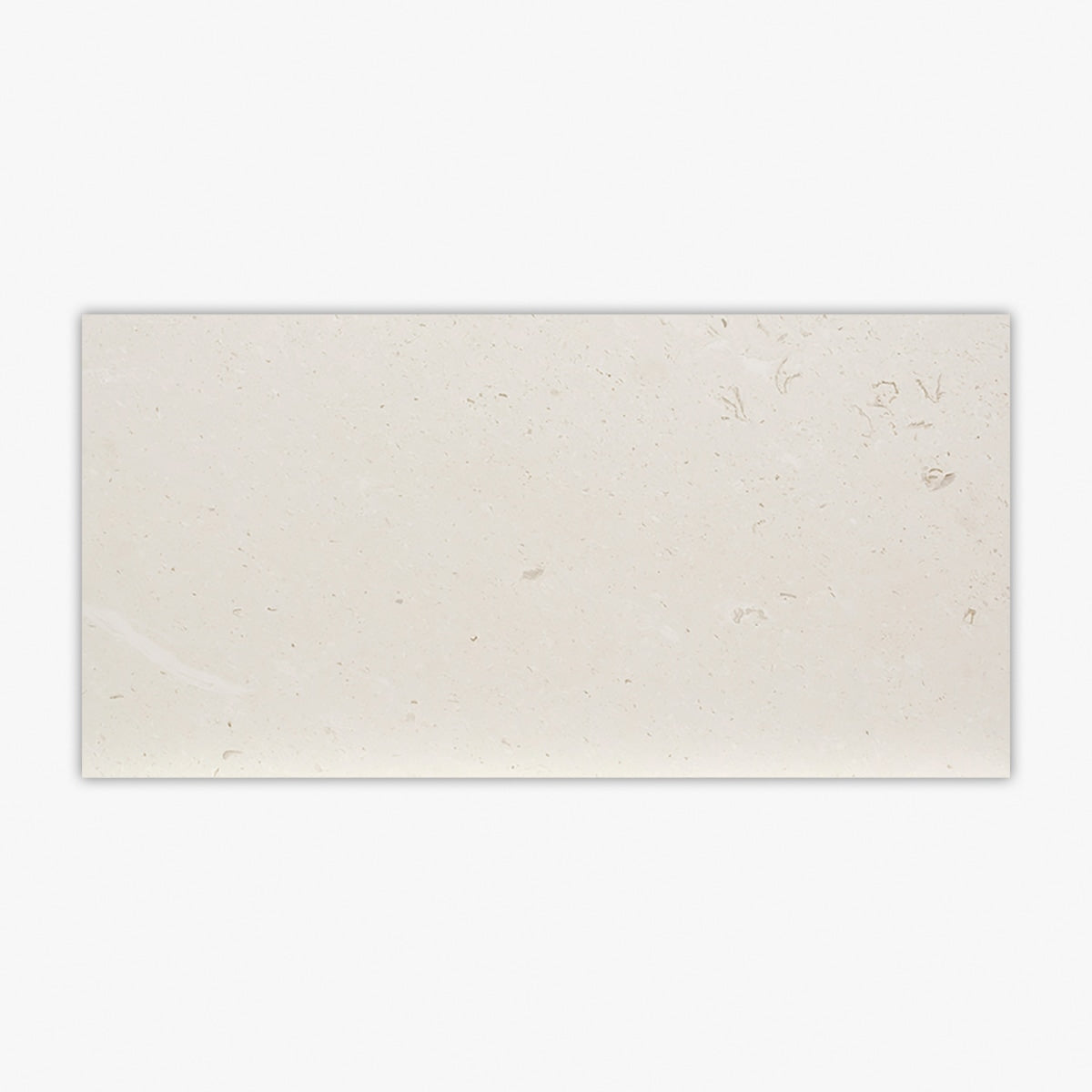 Symra Shell Honed 12x24 Limestone Tile – TilePoint