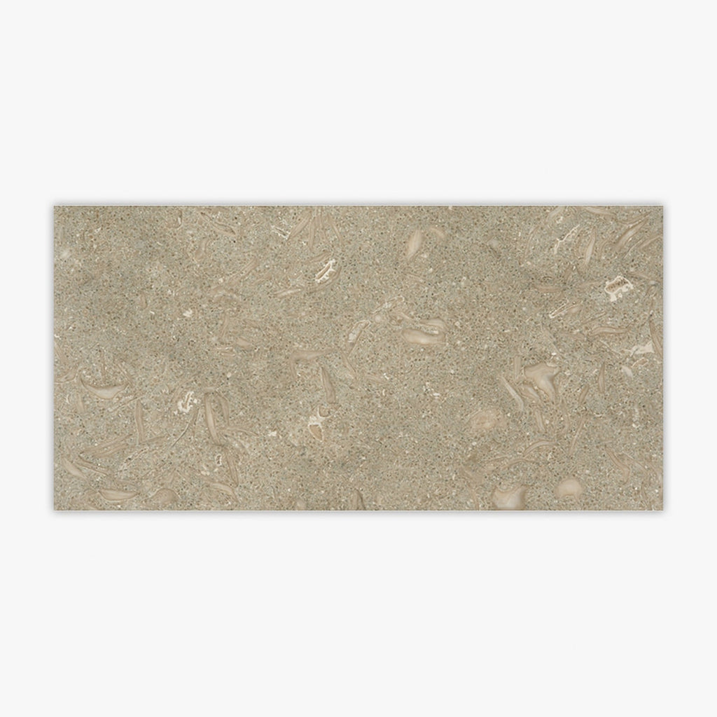 Seagrass Flamed Brushed 12x24 Limestone Tile
