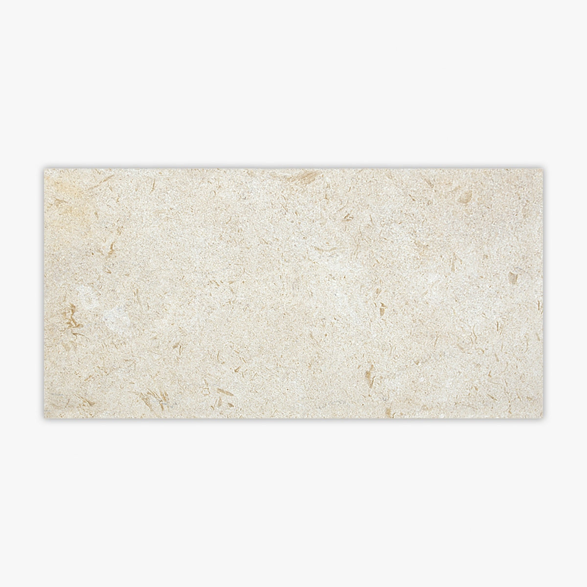 Symra Shell Brushed 12x24 Limestone Tile – TilePoint