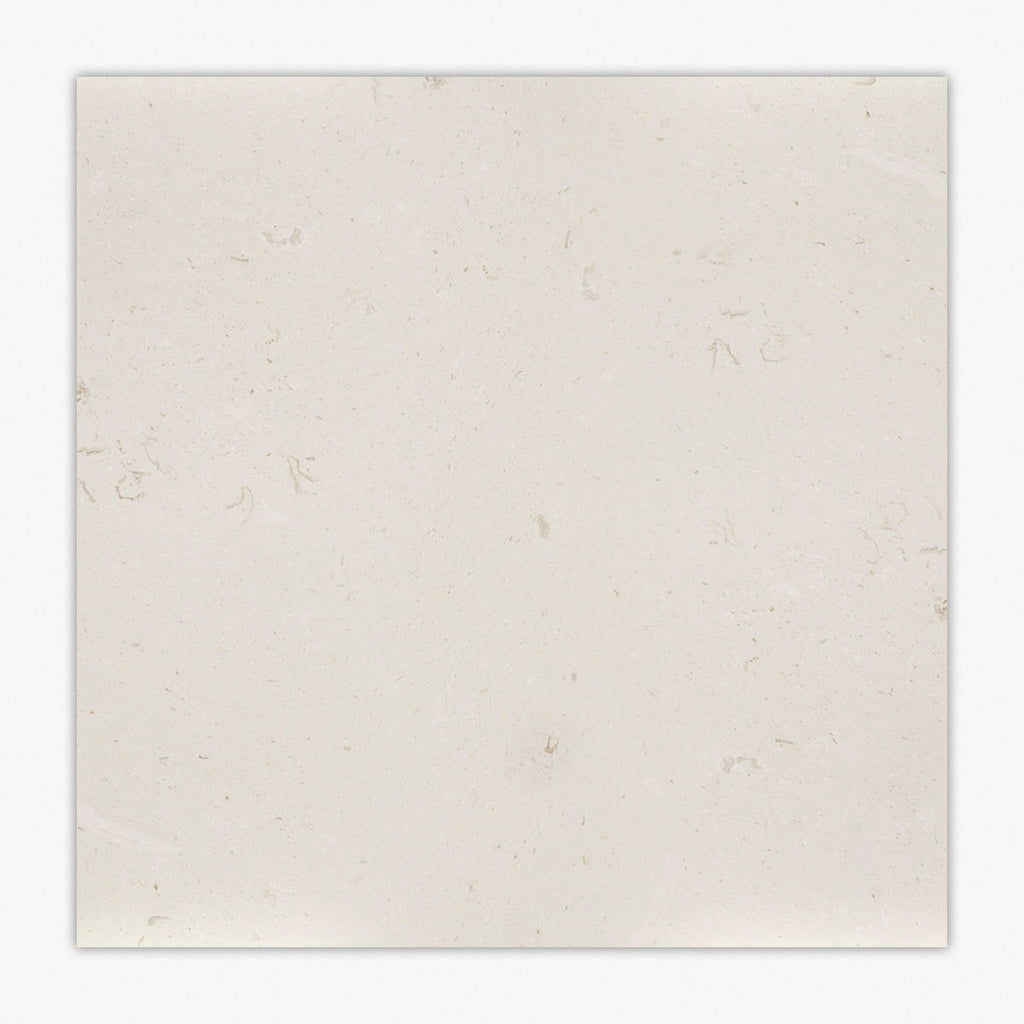 Shell Limestone Tile Symra Shell Honed 24x24 Limestone Tile – TilePoint